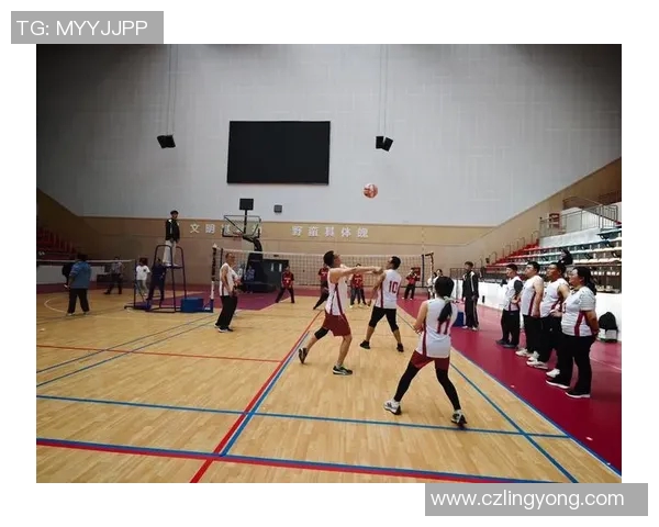 体育实时数据武汉排球队在全国排球速度排行榜中荣登第六名展现强劲实力与潜力