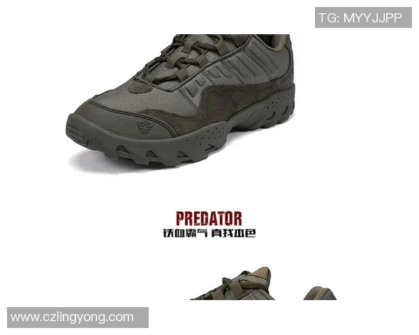 西安攀岩队战术解析：防守与反击的完美结合与实践探讨实时数据